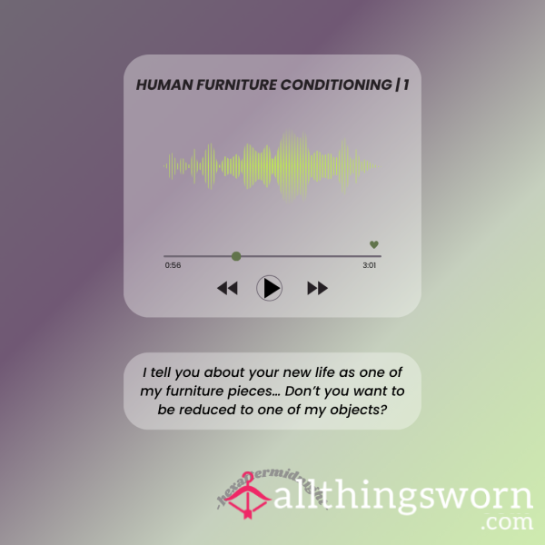 Human Furniture Conditioning (audio) | 1