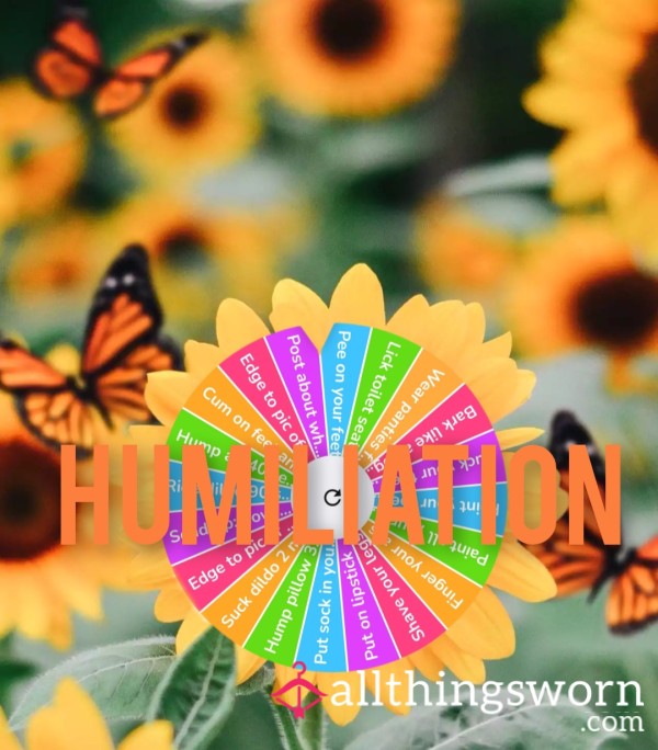 Humiliation Wheel