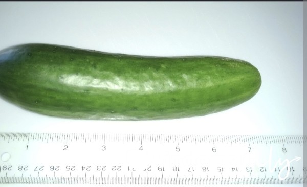 I Have Less Than 6 Inches Tax