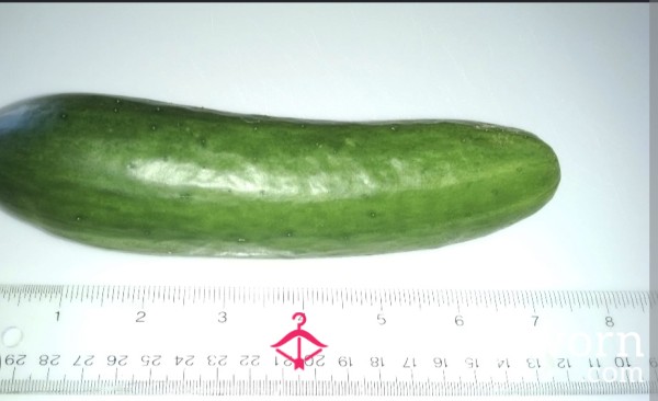 I Have Less Than 6inches Tax