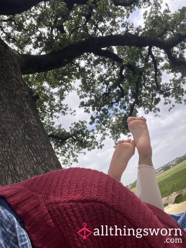 I Love Picnics!