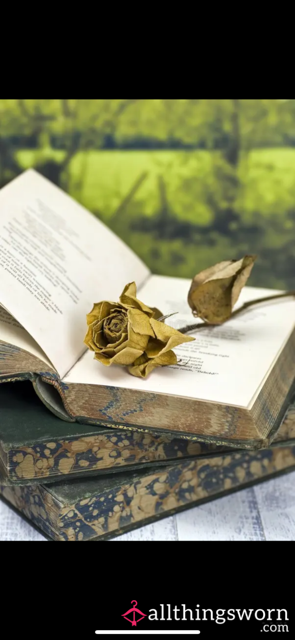 💕VALENTINES SALE: I Read Poetry To You