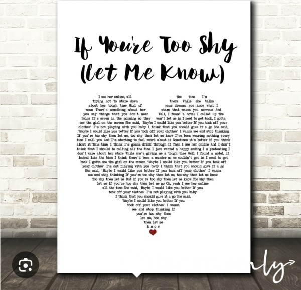 If You're Too Shy Then Let Me Know - Private Drain