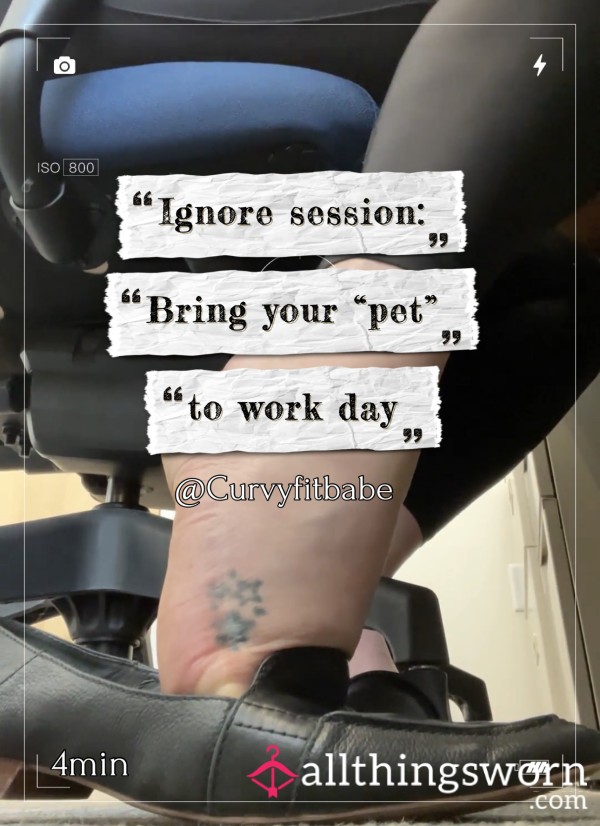 Ignore: Bring Your “pet” To Work Day