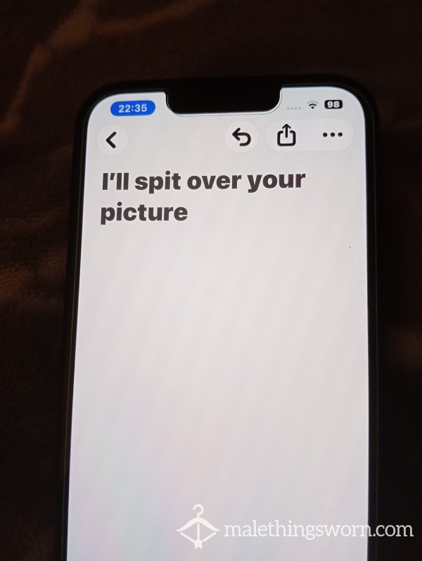 I'll Sp*t Over Your Custom Picture