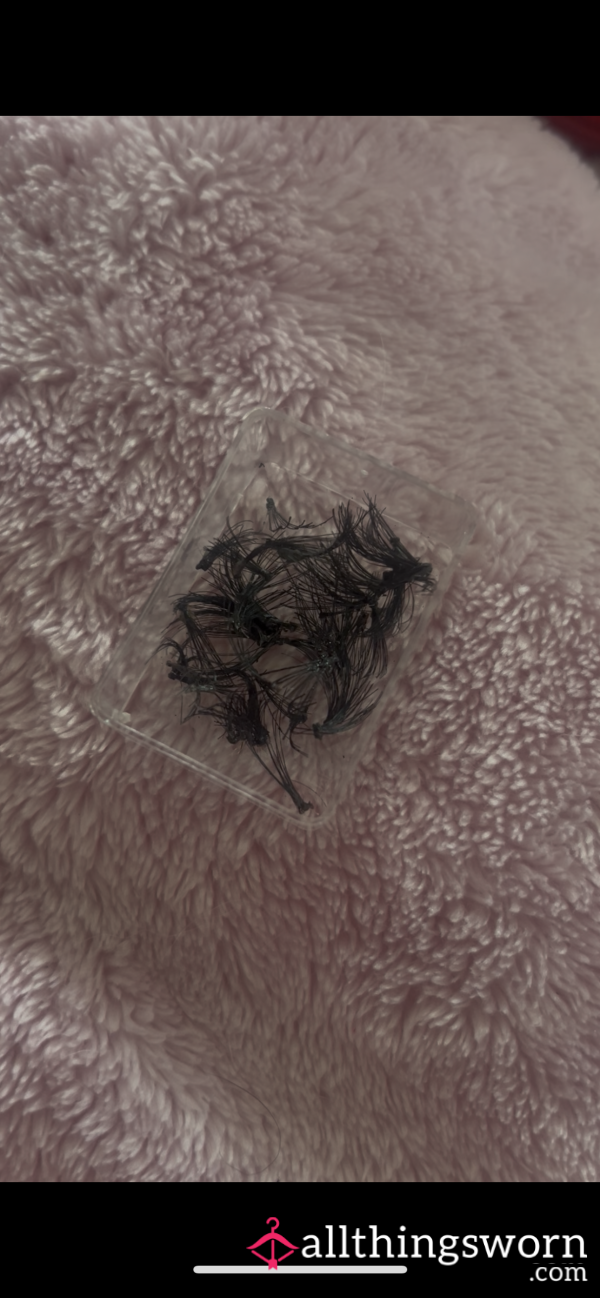 Individual Lash Clusters