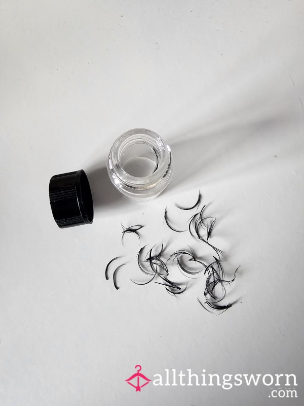 Individual Lashes