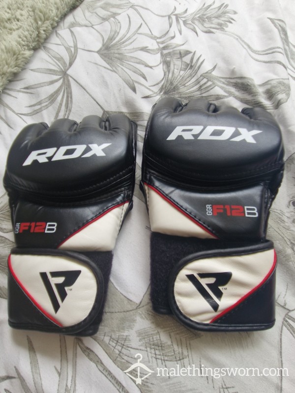 Inked Alphas MMA Sparring Gloves 👊