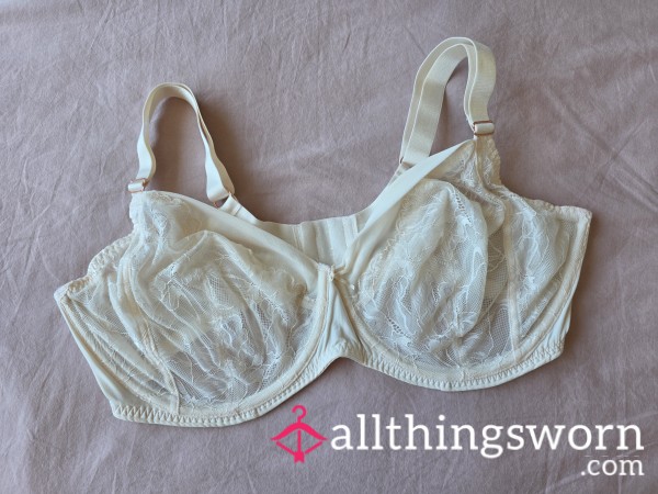 Innocent Cream 38G Bra 😘