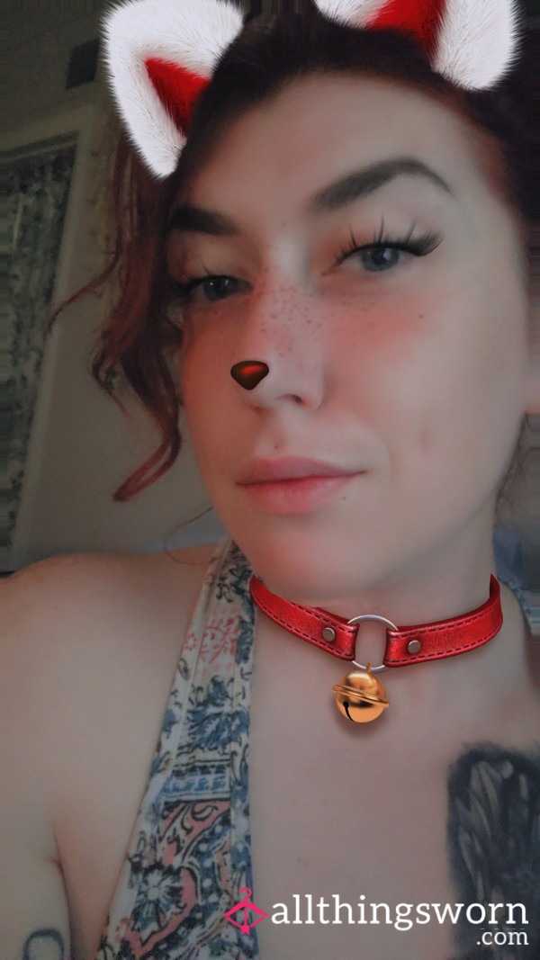 🐱