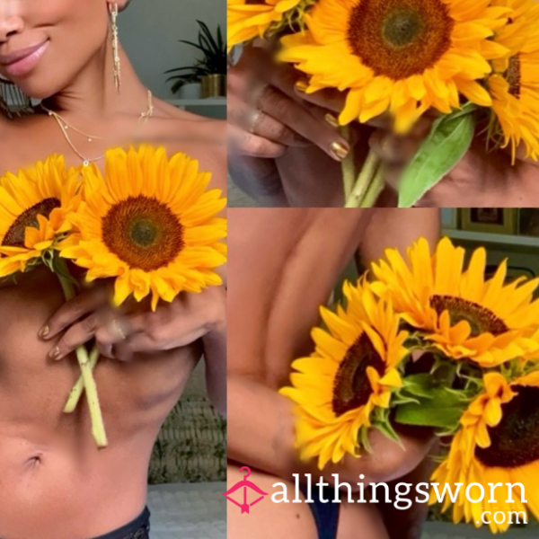 "ꜱᴜɴꜰʟᴏᴡᴇʀ ᴅᴀᴢᴇ" - ʙᴇᴛᴀ-ꜱᴀꜰᴇ, ꜱᴜʙ-ꜰᴜɴᴅᴇᴅ, "ᴄᴀʟᴇɴᴅᴀʀ ɢɪʀʟ"-ɪɴꜱᴘɪʀᴇᴅ (ɴᴏɴ-ɴᴜᴅᴇ) X 5 - 24 ʜʀꜱ ᴀᴄᴄᴇꜱꜱ - £5 ★