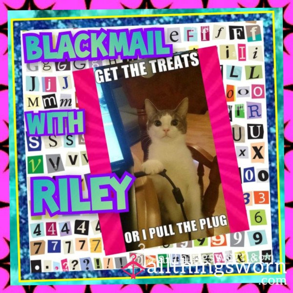 🫢📧😳 🅲🅾🅽🆂🅴🅽🆂🆄🅰🅻 🅱🅻🅰🅲🅺🅼🅰🅸🅻 🆆🅸🆃🅷 🆁🅸🅻🅴🆈😳📧🤭