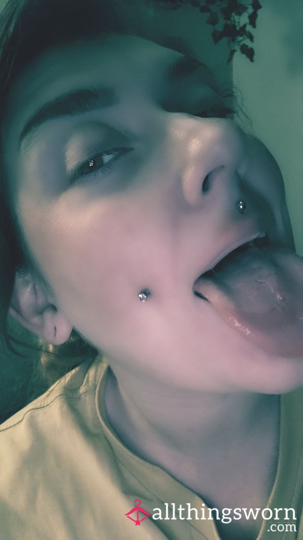 🐱