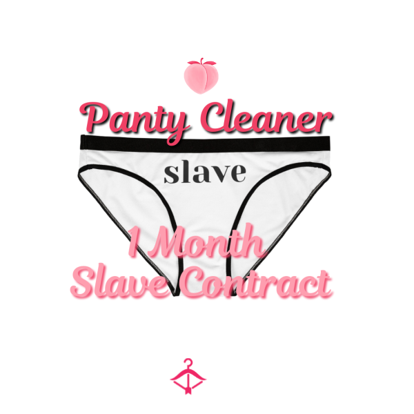 𝑷𝑨𝑵𝑻𝒀 𝑪𝑳𝑬𝑨𝑵𝑬𝑹 ✦ 𝑺𝒍𝒂𝒗𝒆 𝑨𝒈𝒓𝒆𝒆𝒎𝒆𝒏𝒕