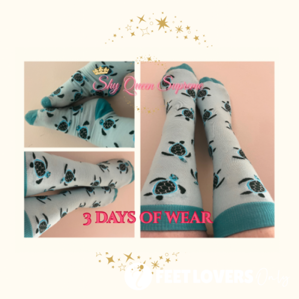 𝑻𝒉𝒊𝒄𝒌 𝑾𝒆𝒍𝒍 𝑾𝒐𝒓𝒏 𝑻𝒖𝒓𝒕𝒍𝒆 𝑺𝒐𝒄𝒌𝒔 🐢 𝐶𝑢𝑡𝑒 & 𝐶𝑜𝑧𝑦 𝑤𝑖𝑡ℎ 𝑎 2 𝑀𝑖𝑛𝑢𝑡𝑒 𝑆𝑜𝑐𝑘 𝑈𝑛𝑑𝑟𝑒𝑠𝑠 𝑉𝑖𝑑𝑒𝑜