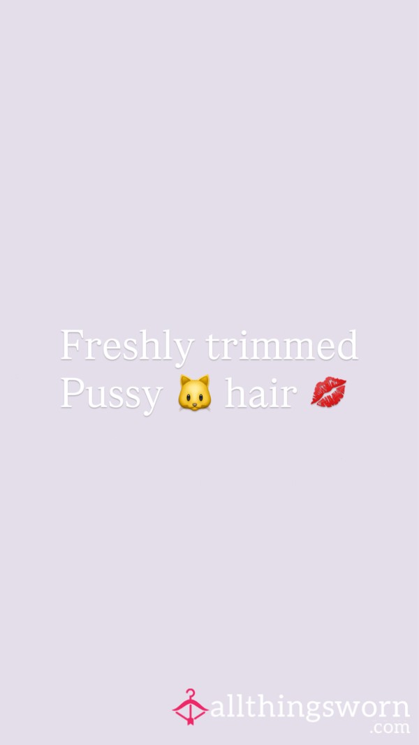 I’ve Got Some Pu**y Hair For You Freshly Cutting This Week