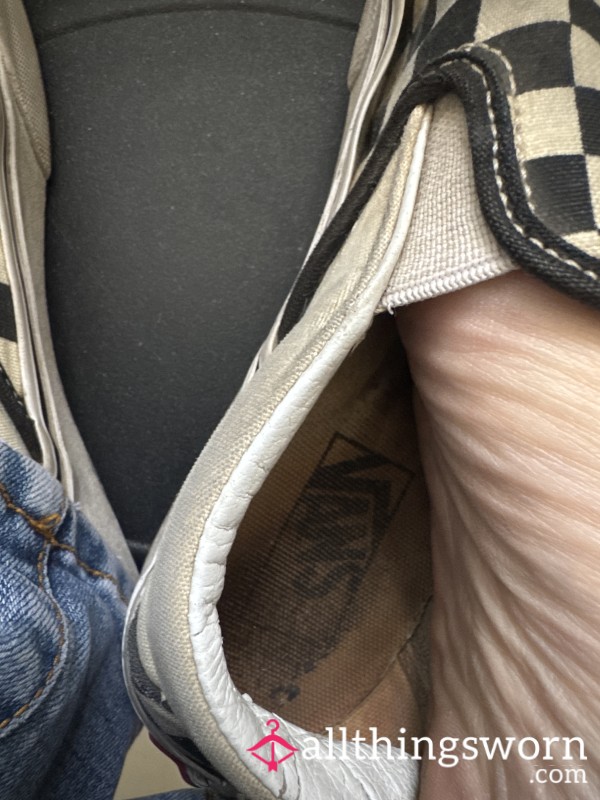 Jammy Smelly Stinky Wet Vans