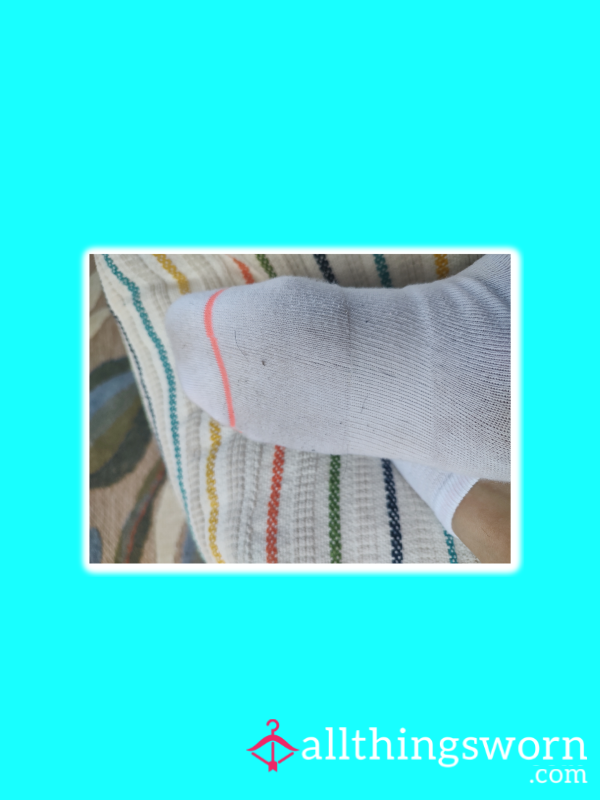 Journey Of The Socks