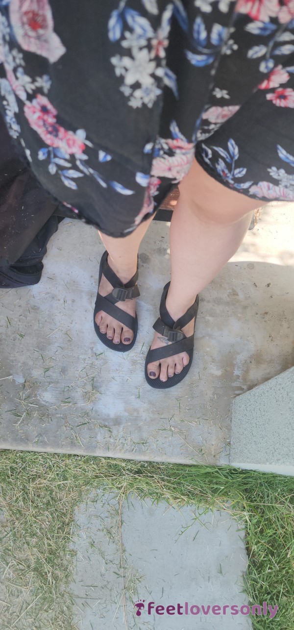 Just Mowed The Lawn. Look At My Dirty Piggies