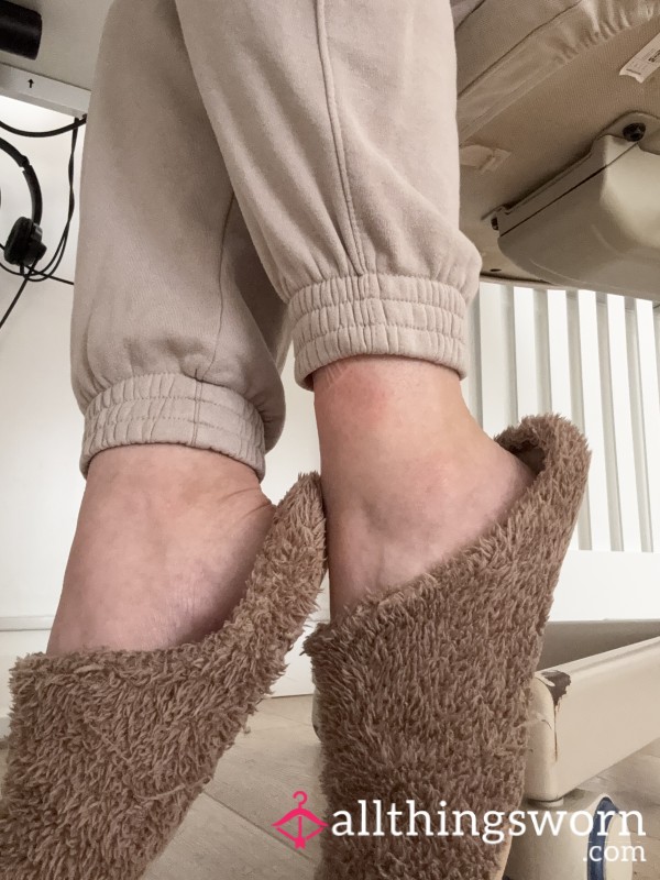 Just My Slippers While I Work