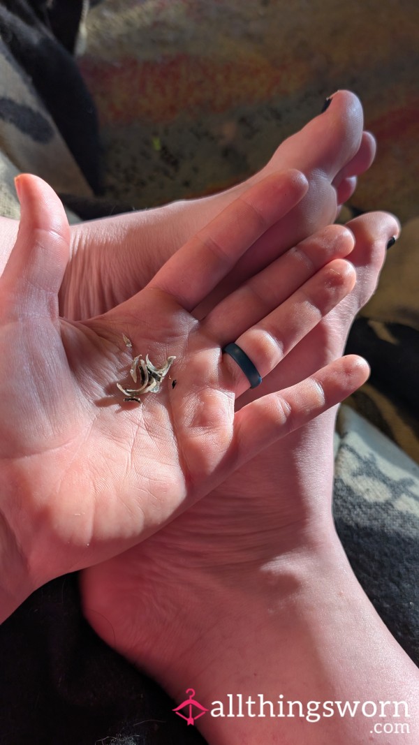 Just Trimmed My Toes Nails Get Them Now