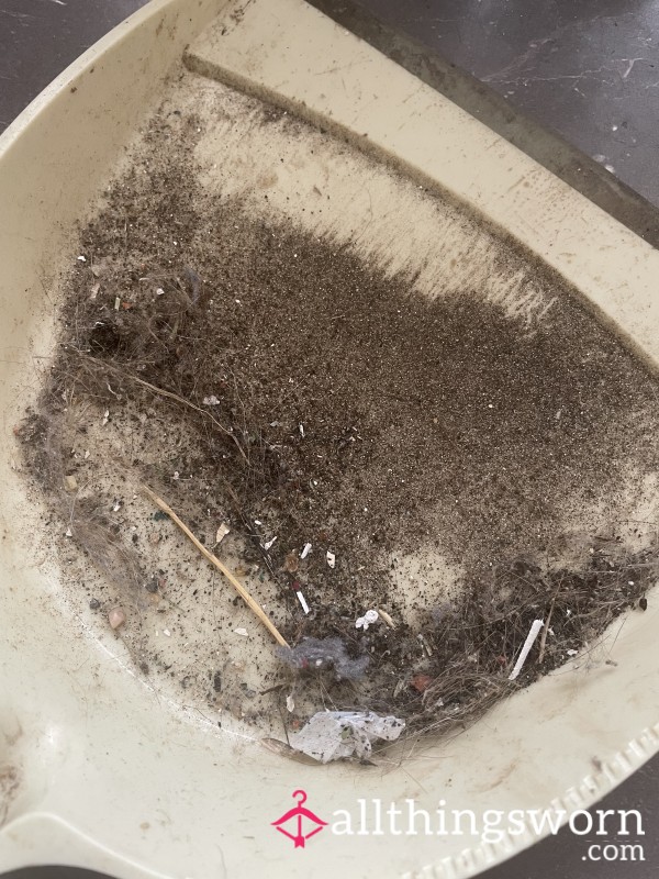 Kitchen Floor Sweepings