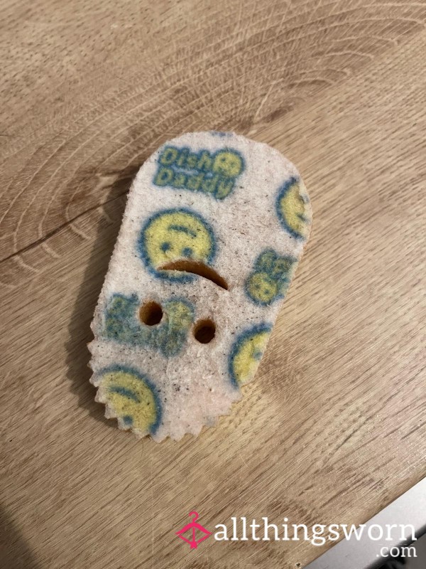 Kitchen Sponge