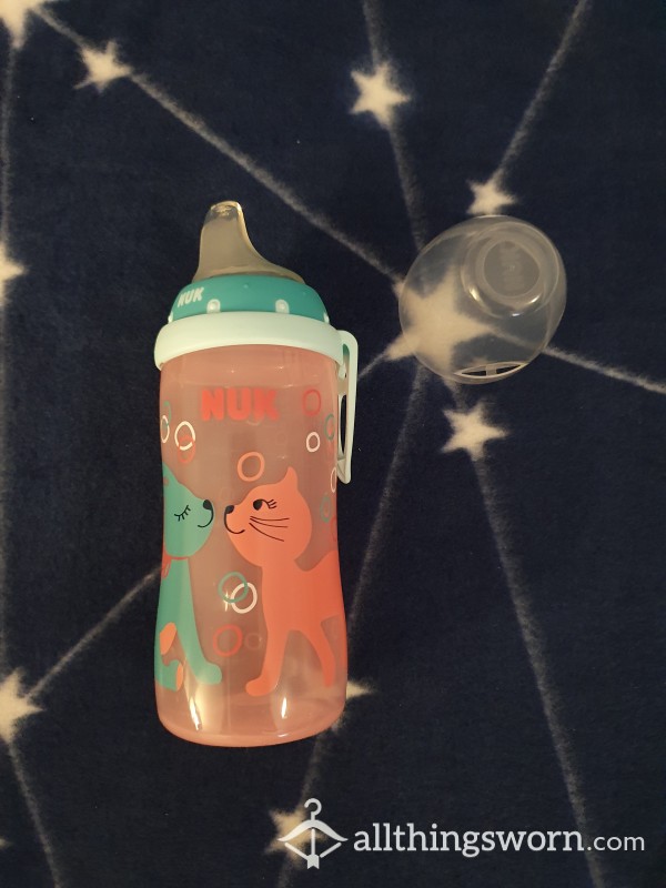 Kitten Bottle With Formula