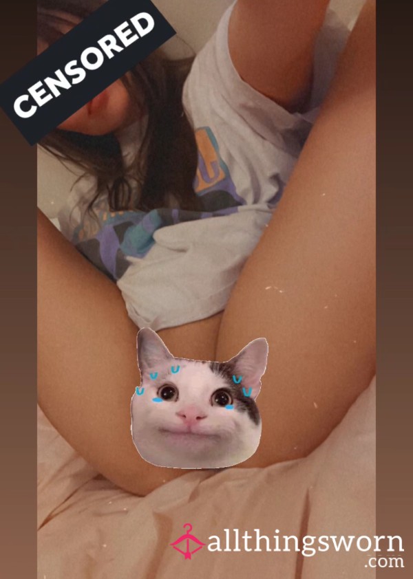 Kitty Content For Wax