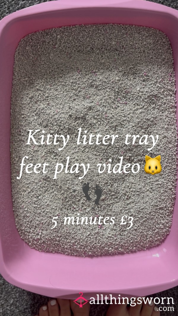 Kitty Litter Tray Feet Play 👣