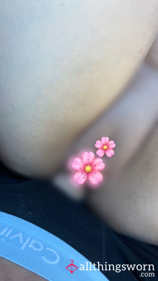 Kitty Meets Friend 😽