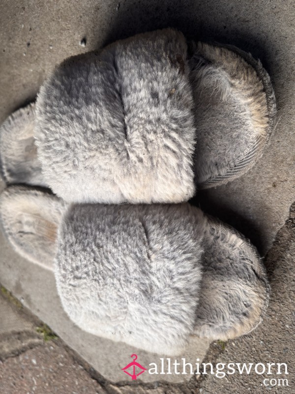 Kneel Before The Queen’s Slippers!