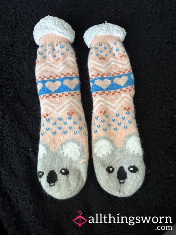Koala Slipper Socks 🐨