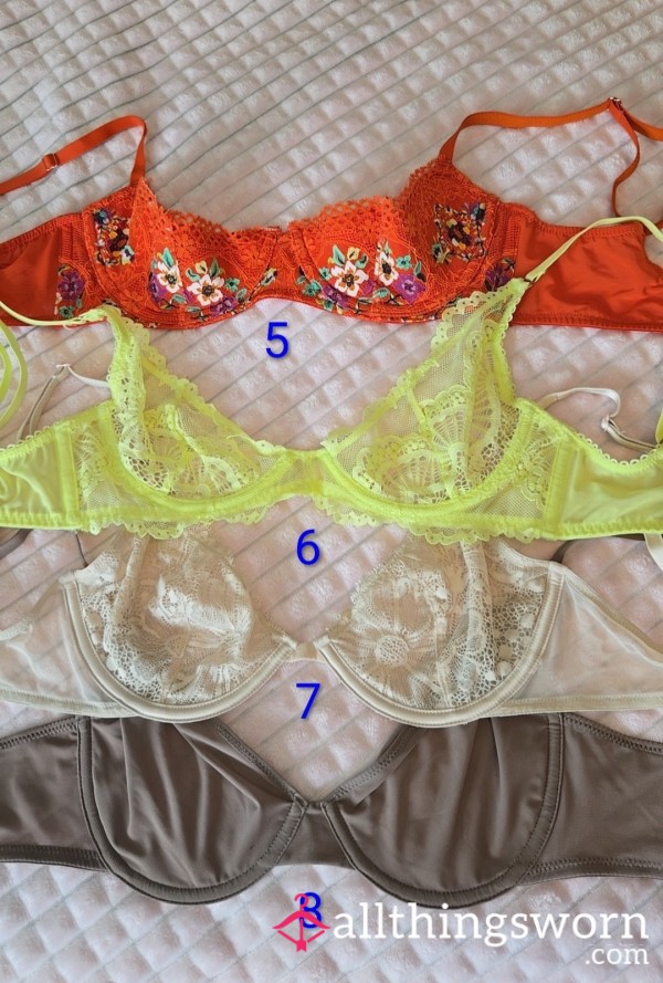 Lace Mesh Sheer Bras