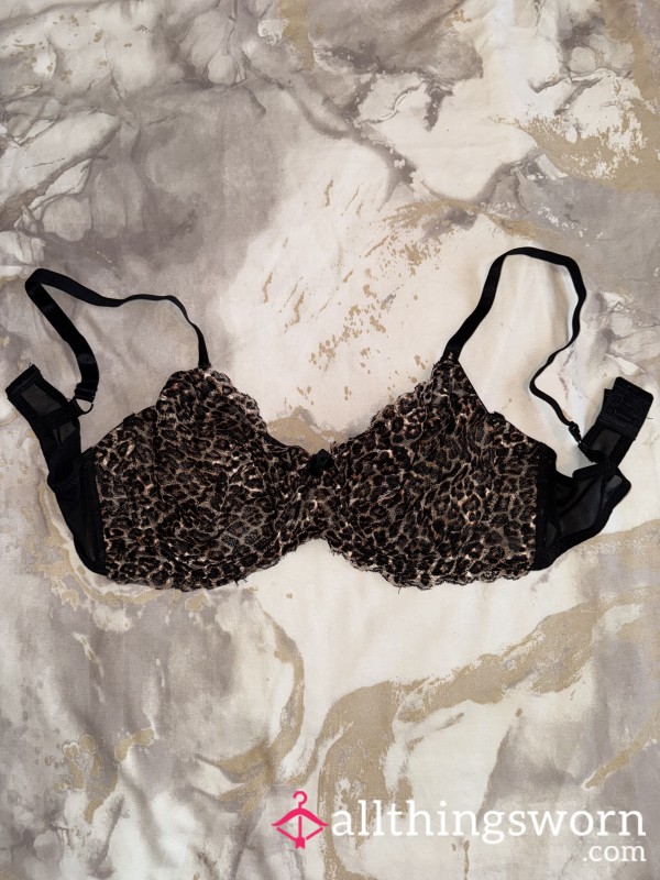 Lacy Leopard Print Bra 🤎🖤