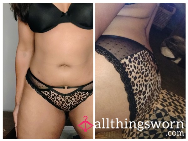 Lady Leopard