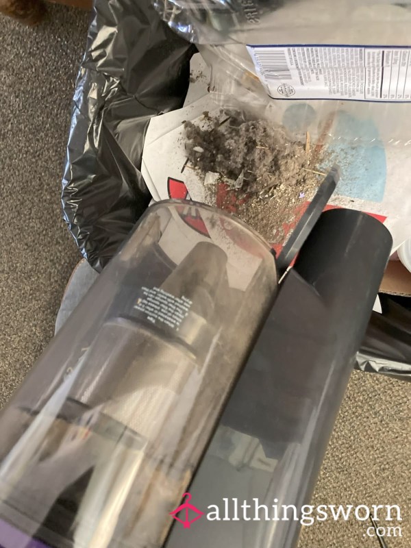🧹 Lana’s Vacuum Dust 🧹
