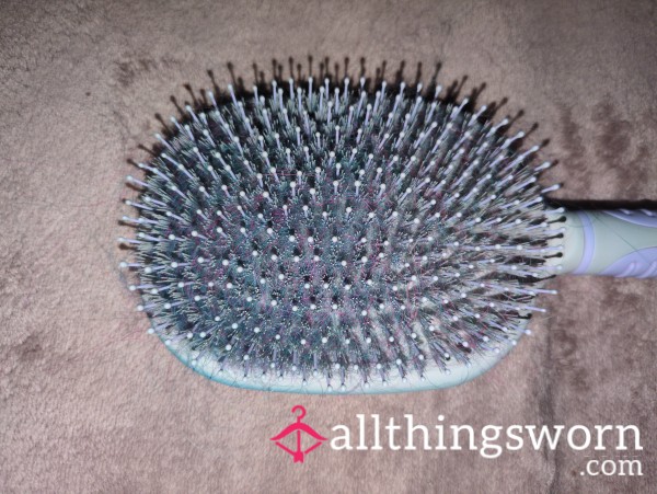 Large Used Hair Brush Full Of Different Coloured Hair
