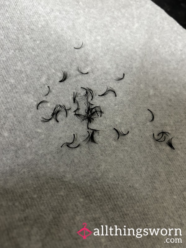Lashes