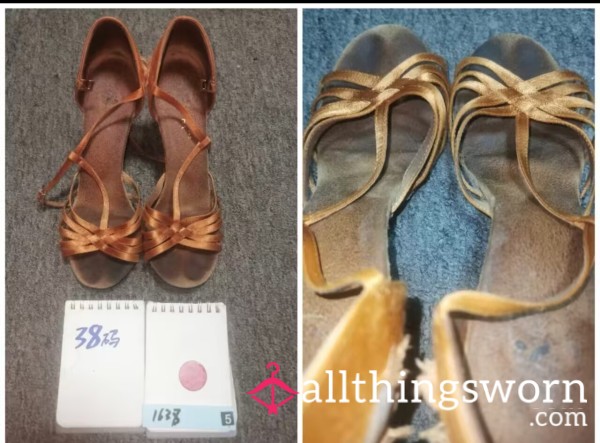 Latin Dance Shoes (collector's Grade)