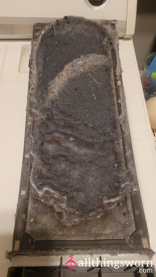 Laundry Day Means Lint