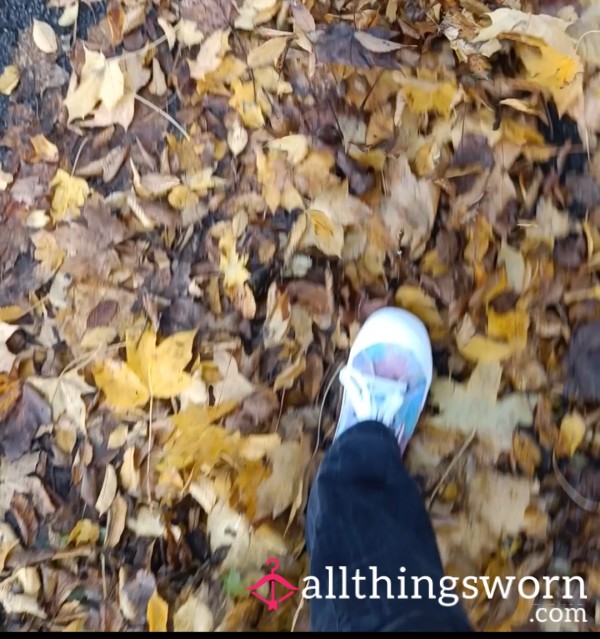 Leaf Kicking On A Walk ASMR