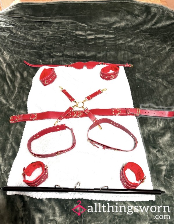 Leather Bondage Harness & Restraint Set – Gold O-Rings & Padded Cuffs – New & Unused