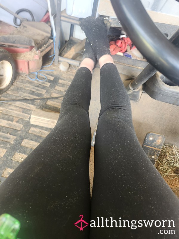 Leggings And Socks Bundle