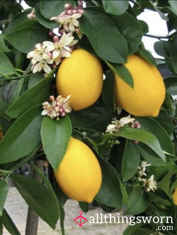 Lemonade G Drive