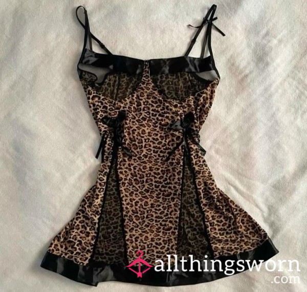 Leopard 🐆