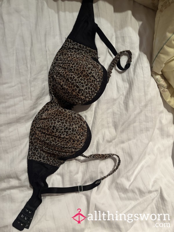 Leopard Print 🐆 34D Boux Avenue Bra 😈
