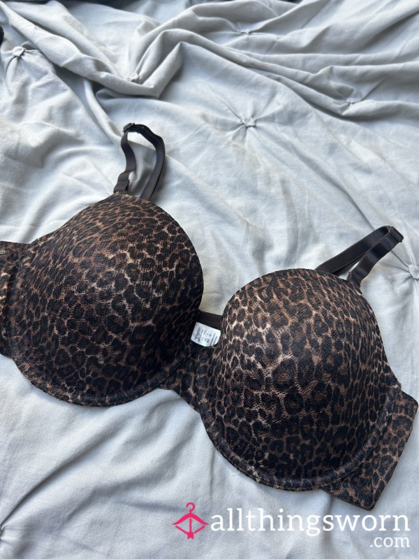 Leopard Print Bra🐆