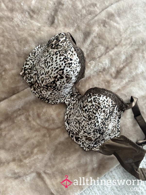 Leopard Print Bra