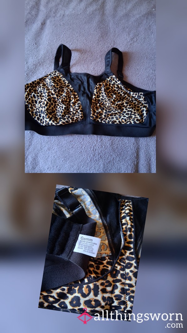 Leopard 🐆 Print Sports Bra 42DD